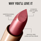 Plum 01 Lipstick with features highlighted
