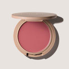 blush compact in pink shade